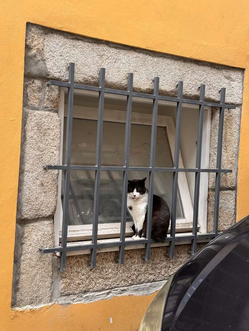 클레리구스 부근